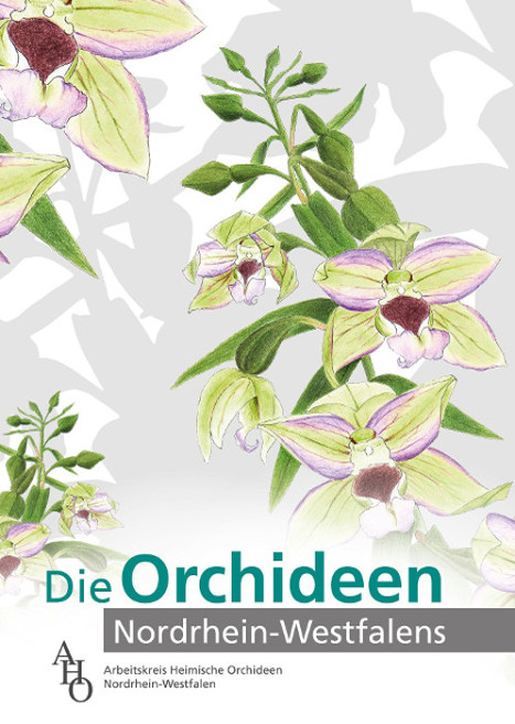 Das Titelbild des neuen Buches über "Die Orchideen Nordrhein-Westfalens". Aquarell: Rainer Rudolph/Gestaltung: LWL